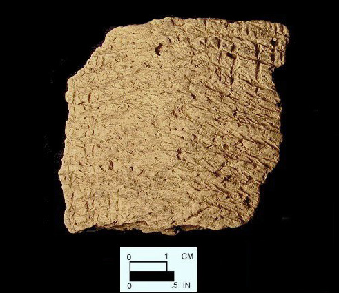 Mockley cord-marked body sherd from Dorr Site 18AN19/69.